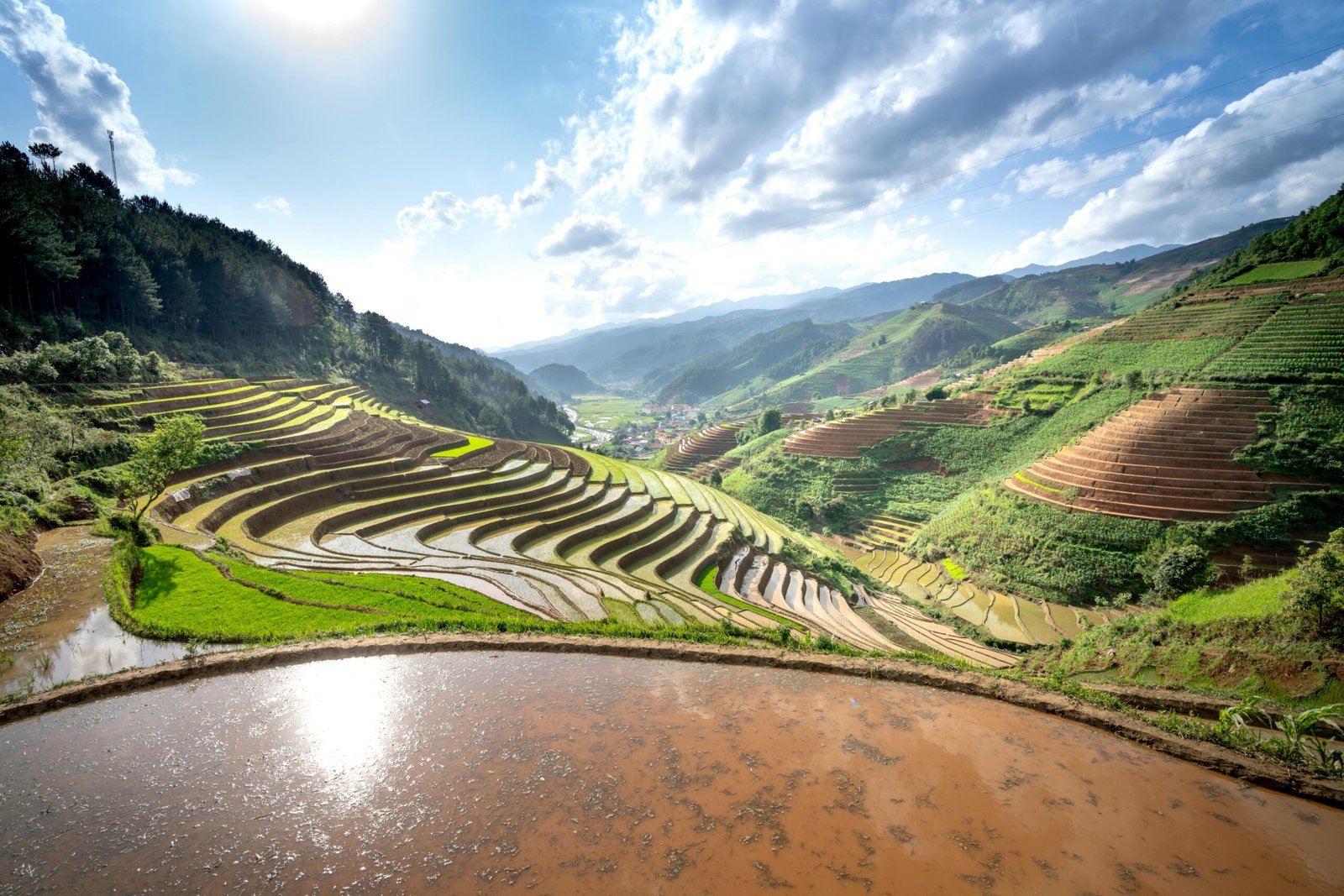 Breathtaking aerial view of rice terraces in a verdant valley under a bright sky.